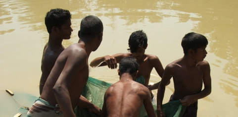 Fisheries in Bangladesh affected by cyclone